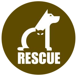 Raccoon Adoption Central logo. Logo design by randyheil
